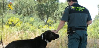 Investigado el dueño de un perro