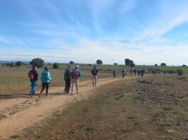 Marcha por el día de San Frutos