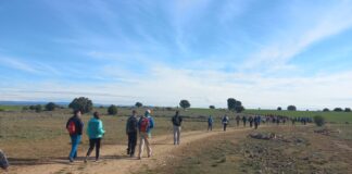 Marcha por el día de San Frutos