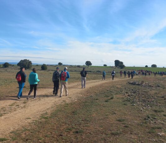 Marcha por el día de San Frutos