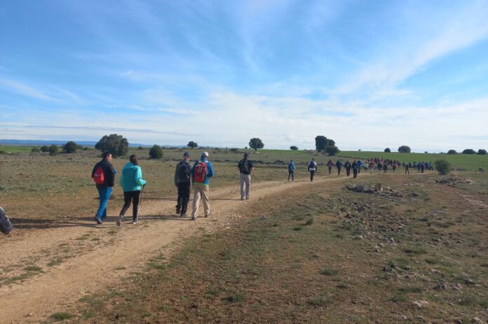 Marcha por el día de San Frutos