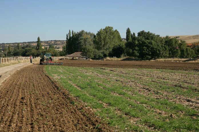 Erimsa defiende la sostenibilidad de la mina