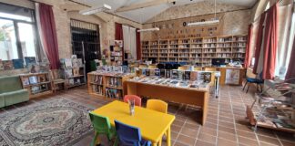 biblioteca de un pueblo de Segovia