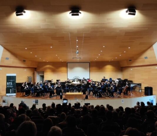 Concierto Santa Cecilia