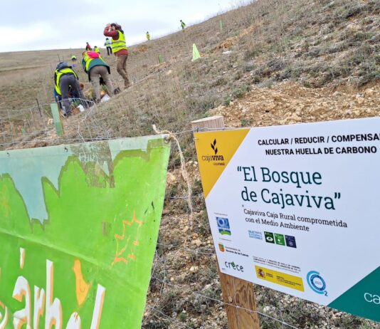 'El Bosque de Cajaviva'