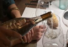 Vuelve el ‘Otoño Enológico’ a Segovia con 28 experiencias únicas