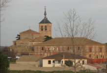 El pino más antiguo y más grande de la provincia de Segovia