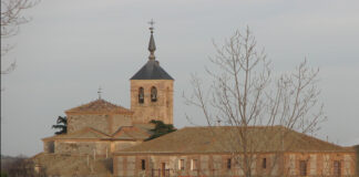 El pino más antiguo y más grande de la provincia de Segovia