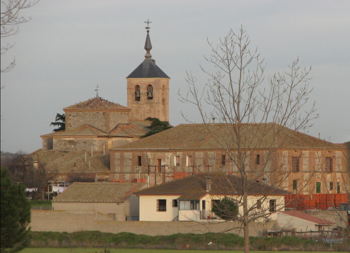 El pino más antiguo y más grande de la provincia de Segovia