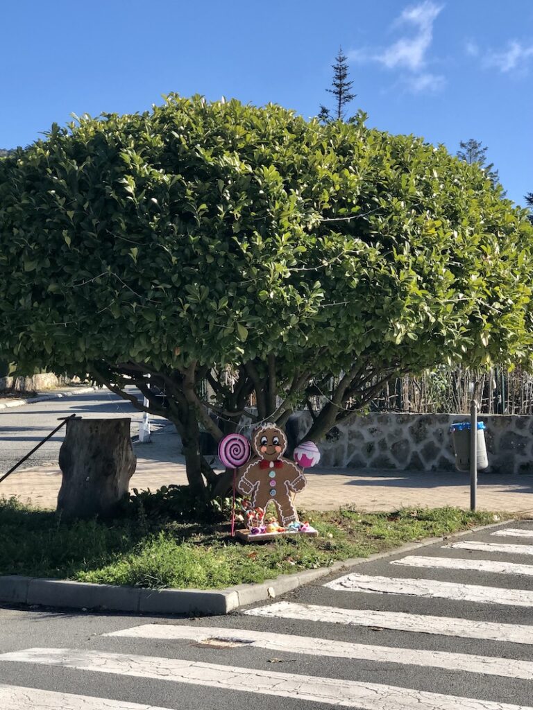 La navidad se teje en un pueblo