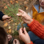 Segovia Educa en Verde programa 80