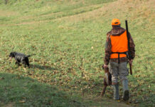 Movilización en Segovia por los perros