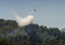 Junta instalará cámaras de videovigilancia forestal