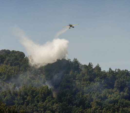 Junta instalará cámaras de videovigilancia forestal