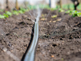 Desvalijan a agricultores segovianos