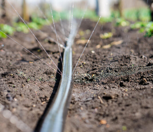 Desvalijan a agricultores segovianos