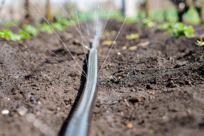 Desvalijan a agricultores segovianos