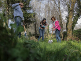 2.600 árboles en pueblos de Segovia