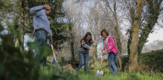 2.600 árboles en pueblos de Segovia