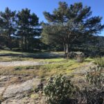Chalet en venta en un pinar segoviano