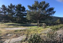Chalet en venta en un pinar segoviano