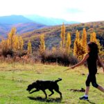 Actividades para disfrutar de la primavera en la provincia