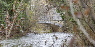 El Eresma, en aviso amarillo a su paso por Valsaín y Segovia