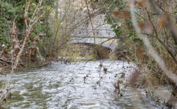 El Eresma, en aviso amarillo a su paso por Valsaín y Segovia