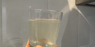 tampoco pueden beber agua