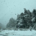 Herido carretera hielo