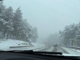 Nivel amarillo en Coca