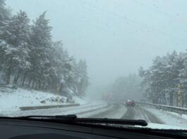 Nivel amarillo en Coca