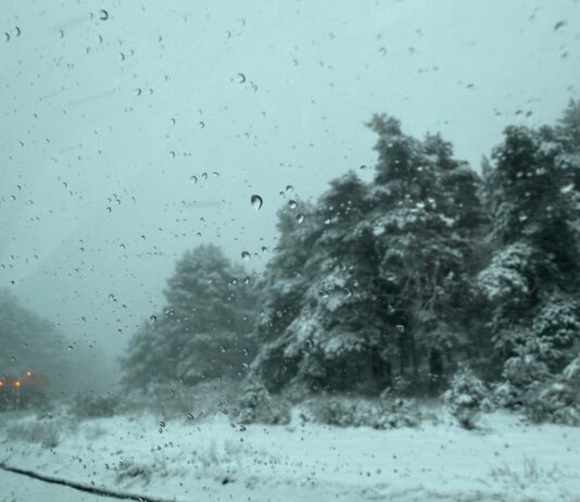 Herido carretera hielo