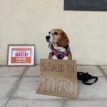 Concentración en Segovia por la salud de las mascotas
