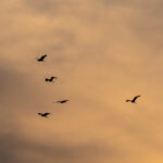 tres mejores lugares de Segovia