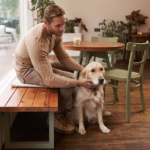 restaurantes de Segovia para mascotas