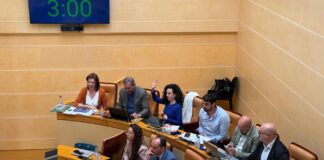 Ayuntamiento de Segovia aprueba 81