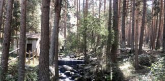 5 destinos ecofriendly en Segovia