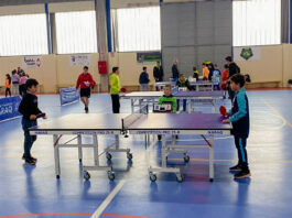 Campeonatos Regionales en Edad Escolar