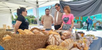 Feria de la Huerta