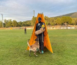 Un pueblo de Segovia capital de una competición canina