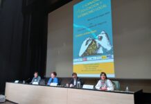 Arte textil en Segovia