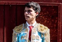 novillero segoviano Luis Rivero