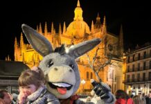 burro "vende" un Festival rock