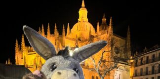burro "vende" un Festival rock