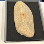 La huella dactilar más antigua del mundo, encontrada en un yacimiento de Segovia huella dactilar más antigua del mundo