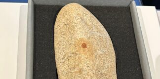 huella dactilar más antigua del mundo