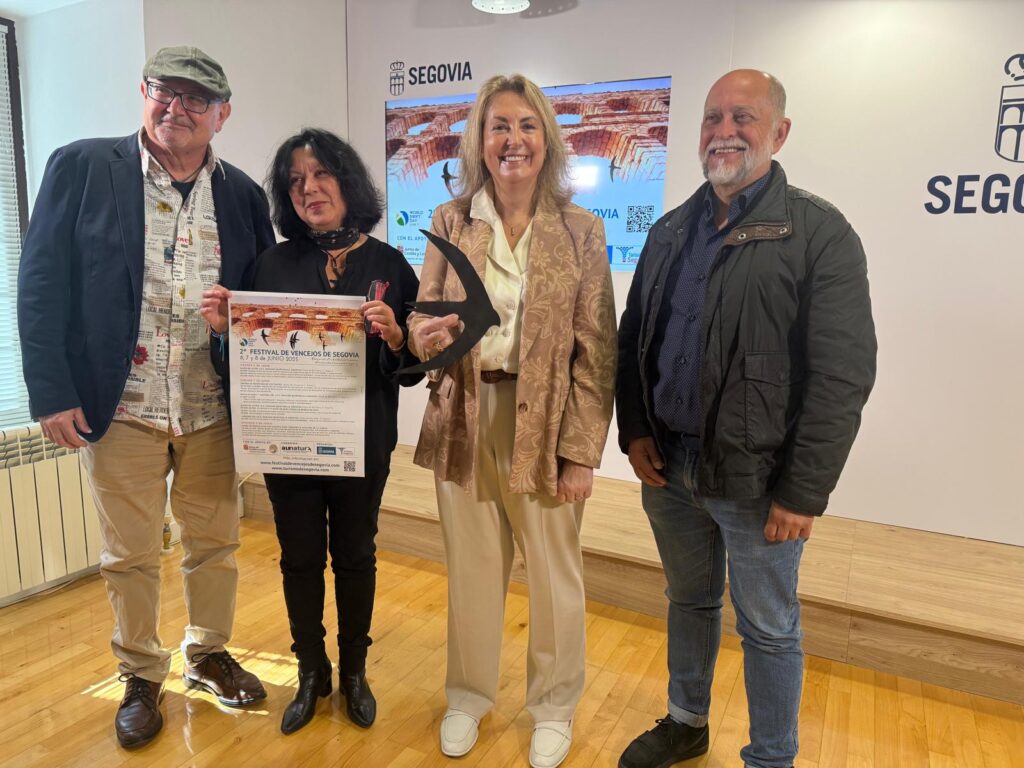 Festival de Vencejos