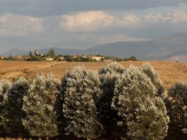 pueblo de Segovia con cuatro habitantes