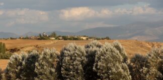 pueblo de Segovia con cuatro habitantes